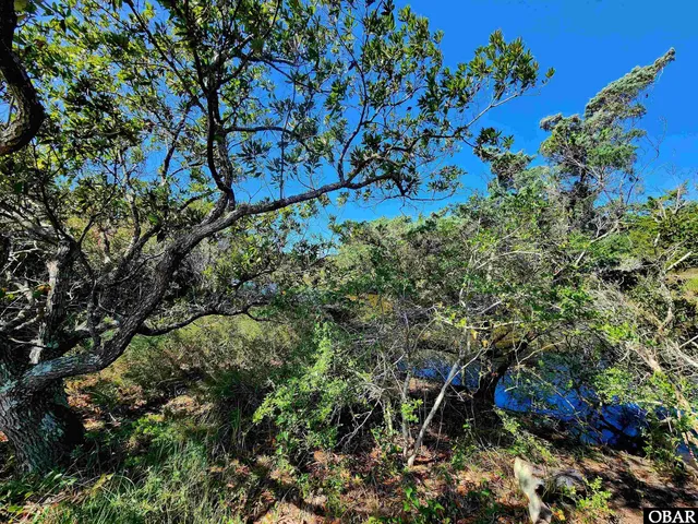 $178,000 | 42195 Shallow Point Drive, Avon, NC 27915