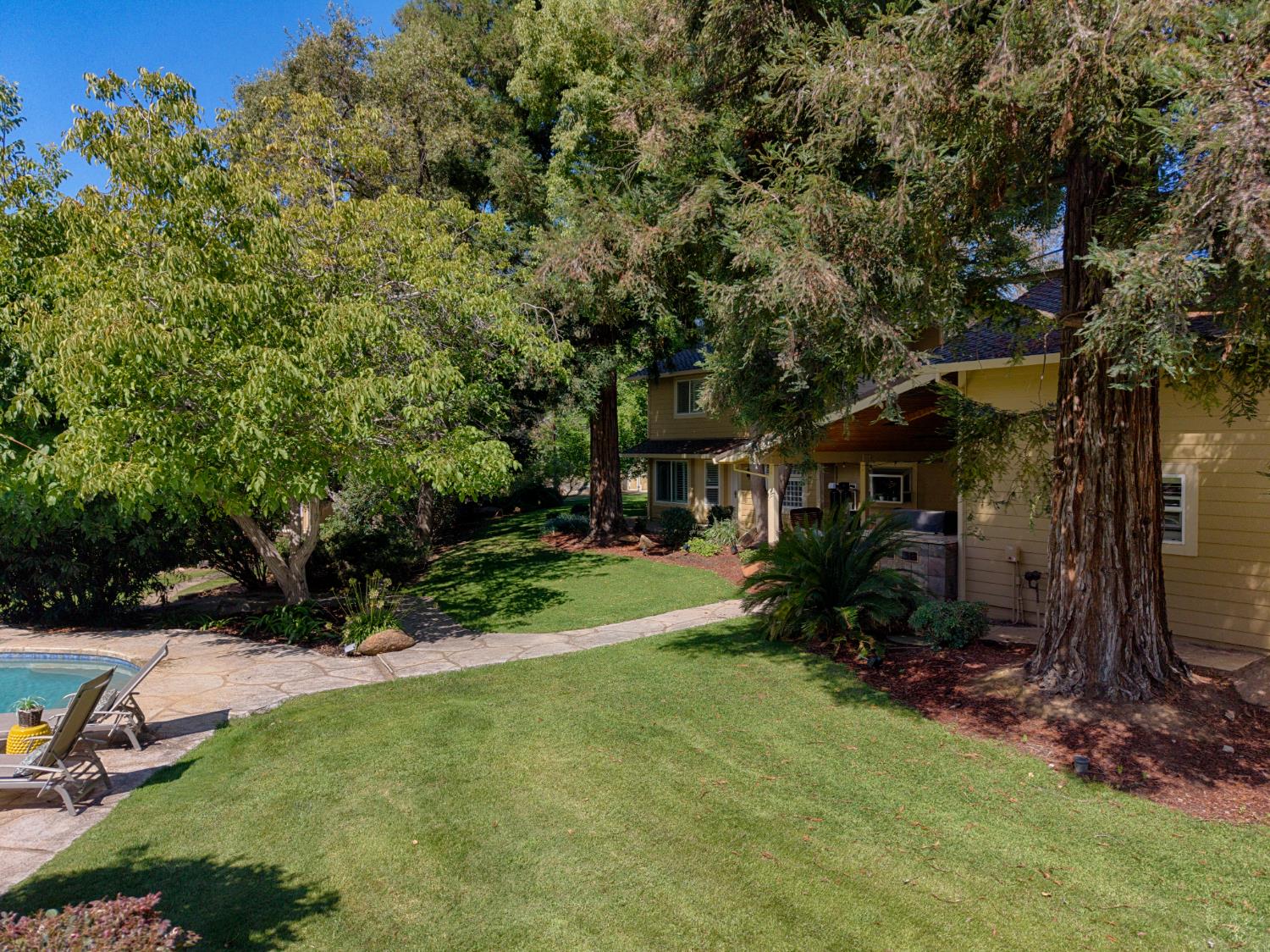 7396 Callison Road Penryn, CA 95663 - Photo 54 of 74 Lush mature grounds