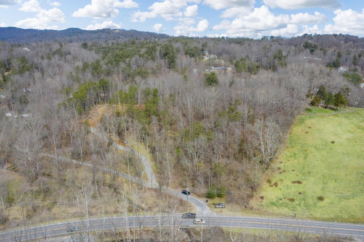 6427 Bent Mountain Road Roanoke, VA 24018 - Photo 11 of 13 a view of a yard with mountain