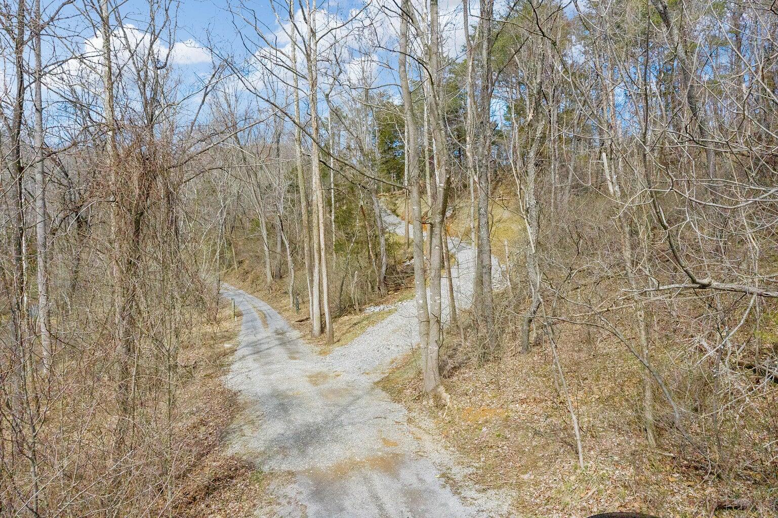 6427 Bent Mountain Road Roanoke, VA 24018 - Photo 12 of 13 a view of a yard