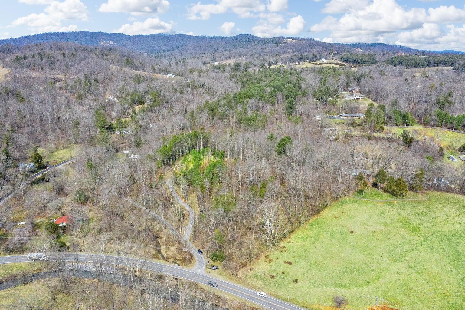 6427 Bent Mountain Road Roanoke, VA 24018 - Photo 2 of 13 a view of a lush green hillside and a mountain view