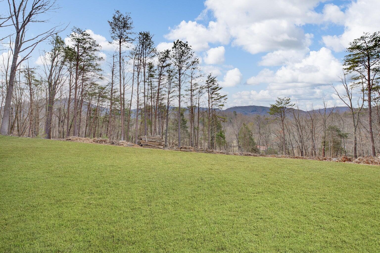 6427 Bent Mountain Road Roanoke, VA 24018 - Photo 3 of 13 a view of outdoor space with swimming pool and green space