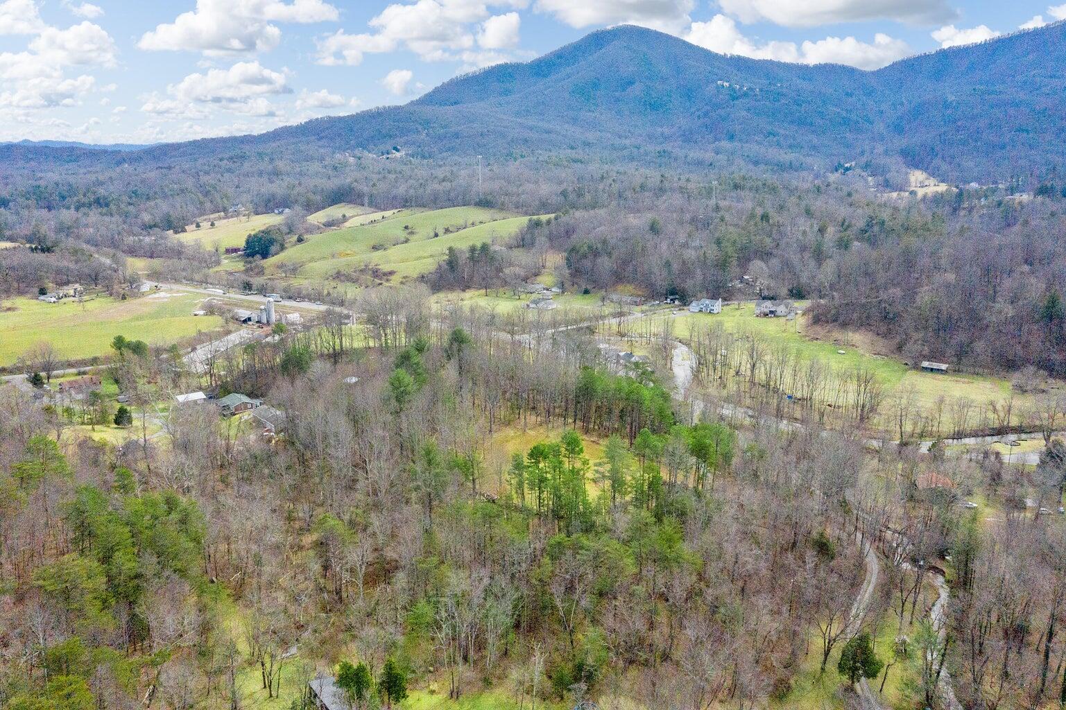 6427 Bent Mountain Road Roanoke, VA 24018 - Photo 7 of 13 a view of outdoor space and mountain view