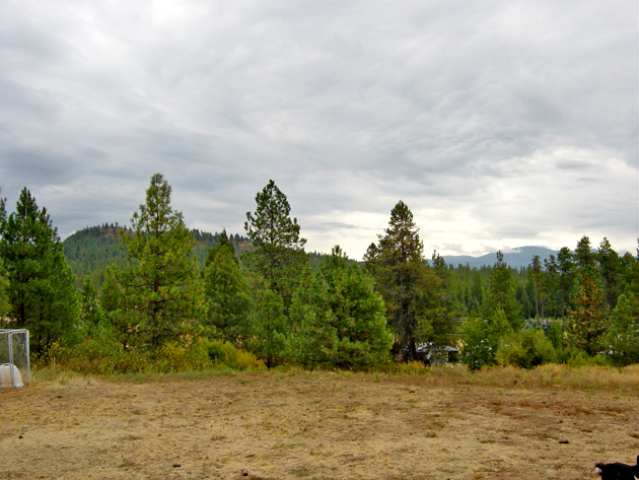 2851 Fertile Valley Road Newport, WA 99156 - Photo 9 of 9 Gallery Image 9