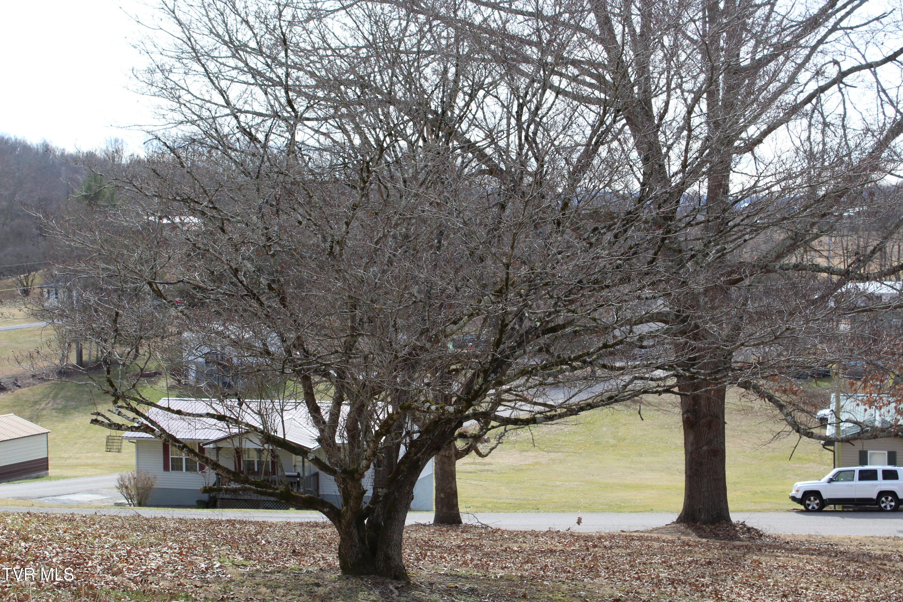 175 Fincastle Heights Road Jonesville, VA 24263 - Photo 37 of 51 IMG_6401