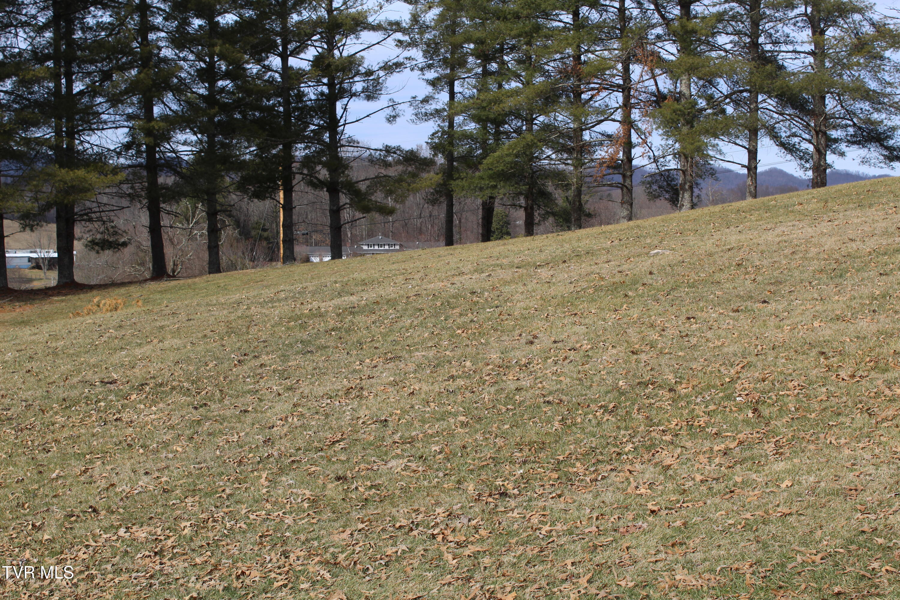 175 Fincastle Heights Road Jonesville, VA 24263 - Photo 39 of 51 IMG_6403