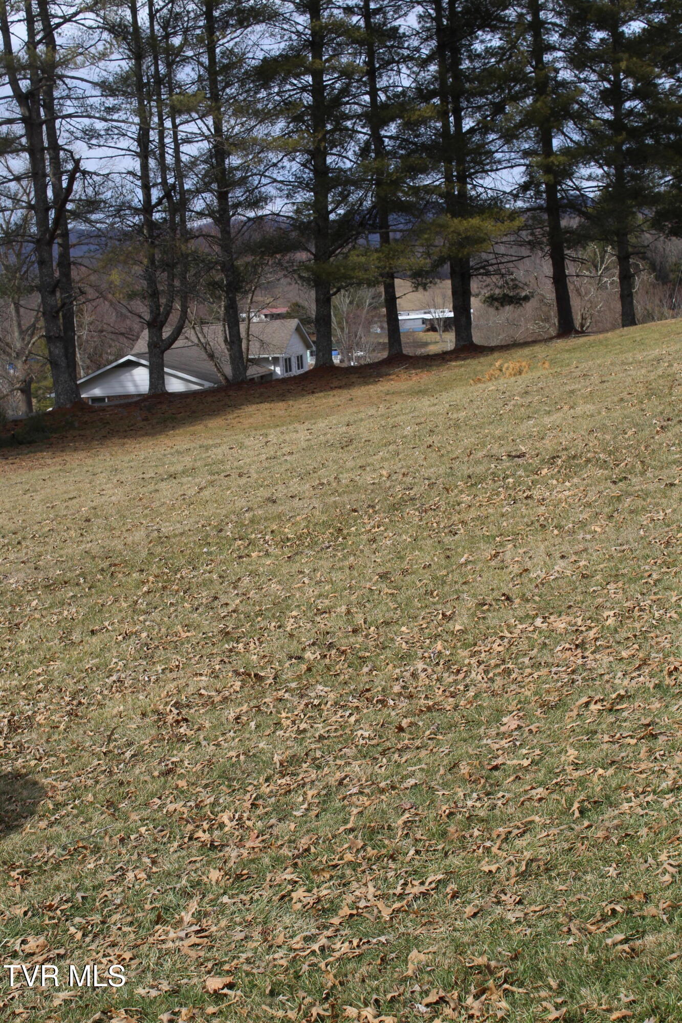 175 Fincastle Heights Road Jonesville, VA 24263 - Photo 40 of 51 IMG_6404