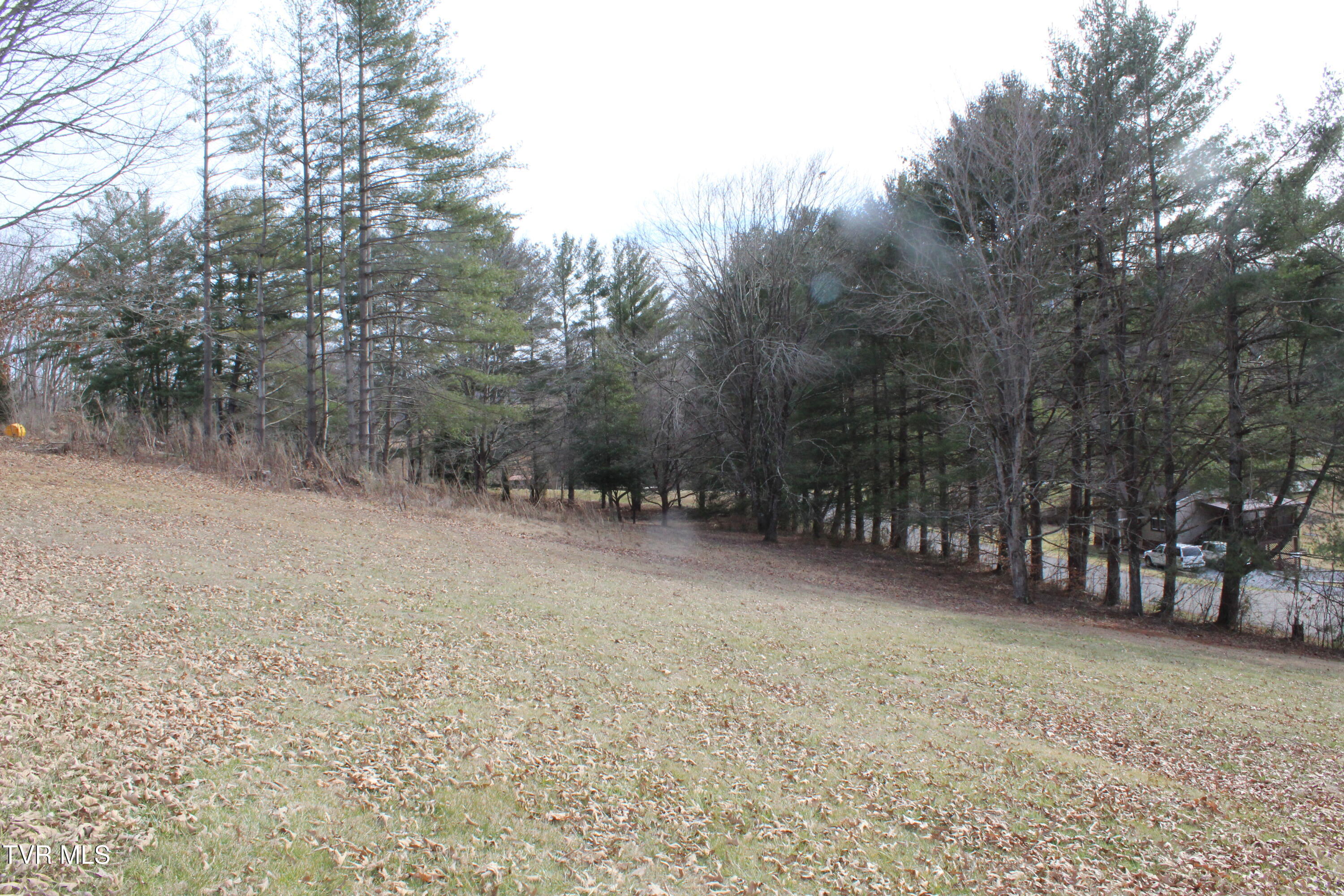 175 Fincastle Heights Road Jonesville, VA 24263 - Photo 41 of 51 IMG_6409