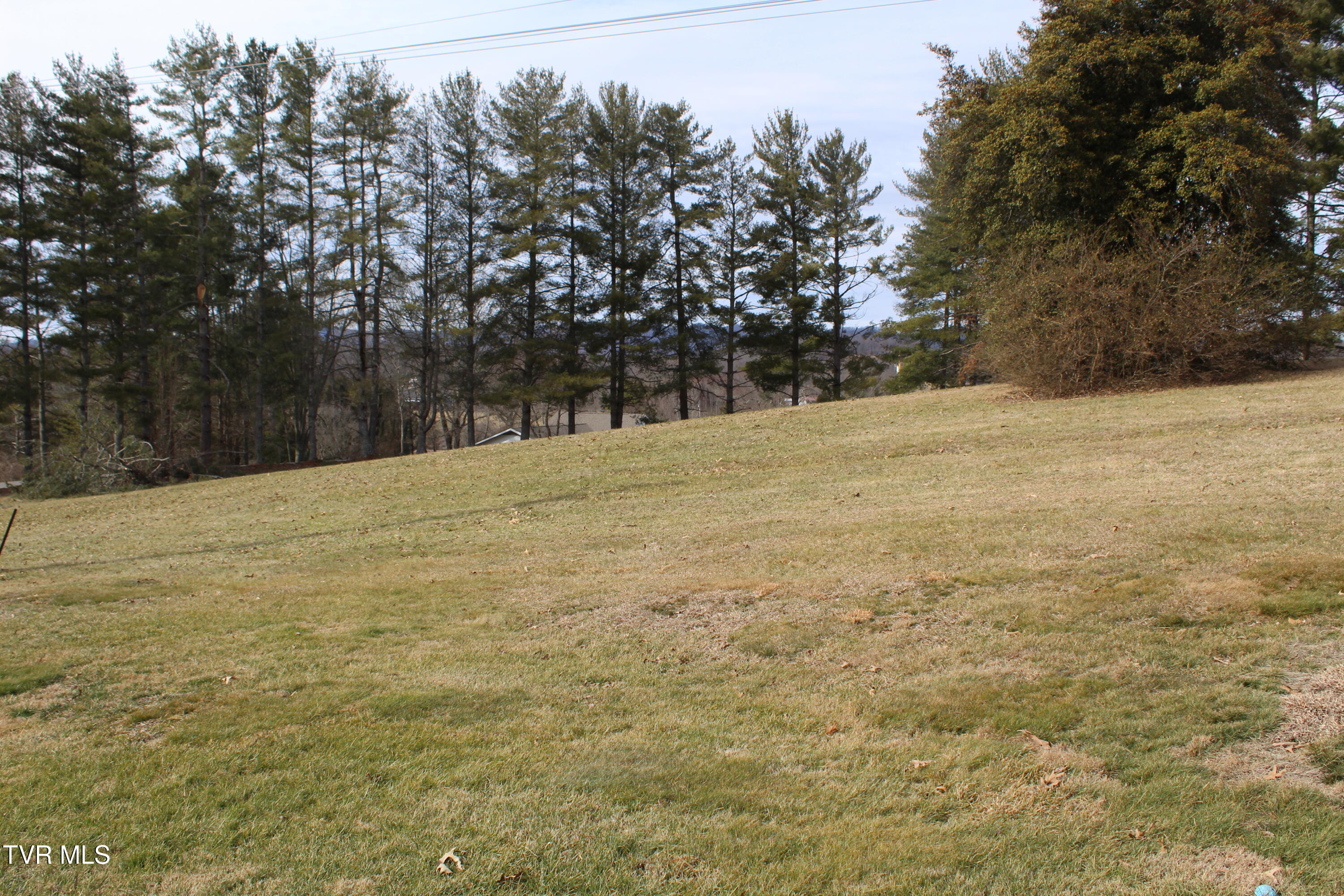 175 Fincastle Heights Road Jonesville, VA 24263 - Photo 44 of 51 IMG_6418