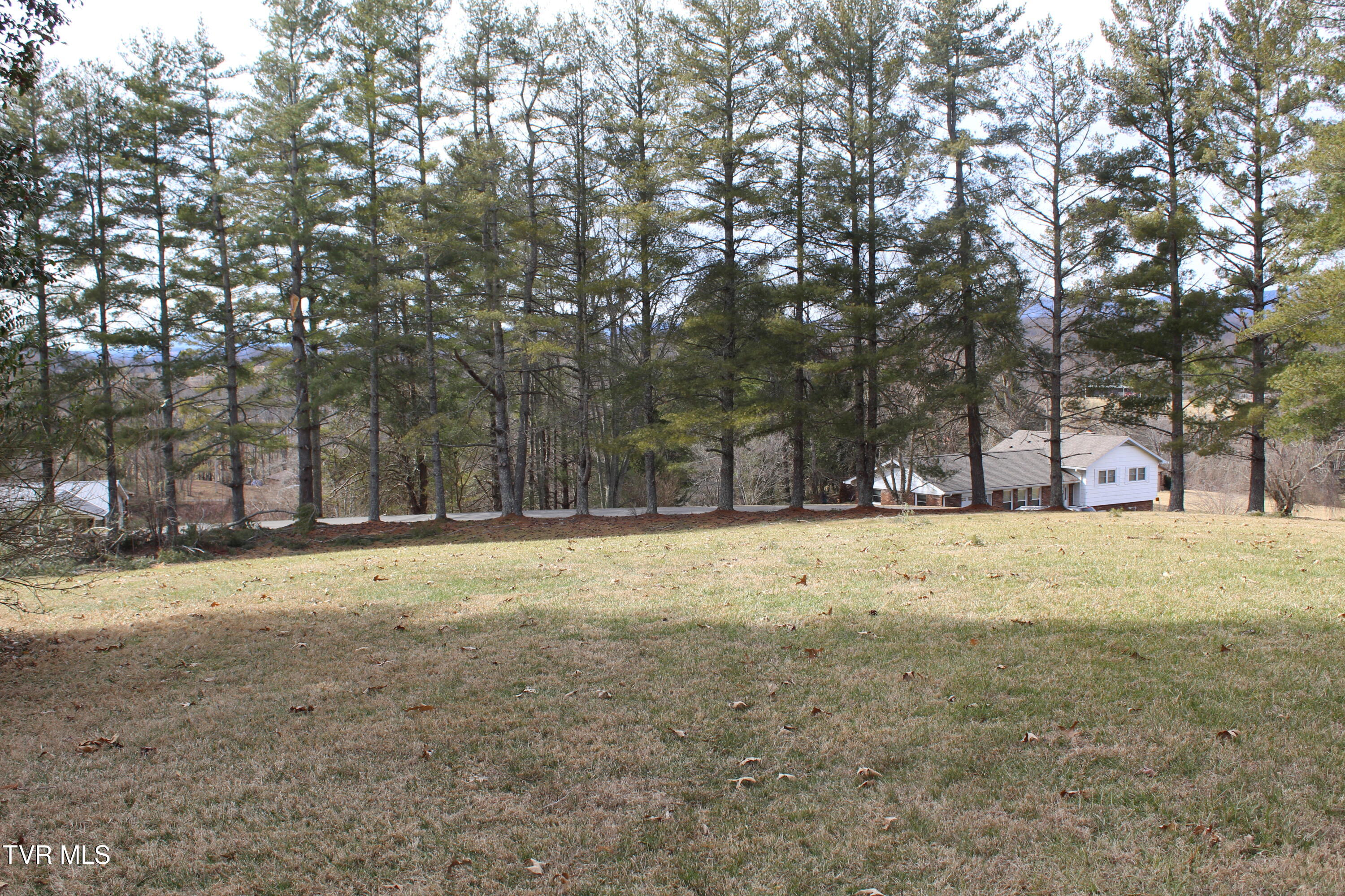 175 Fincastle Heights Road Jonesville, VA 24263 - Photo 45 of 51 IMG_6419