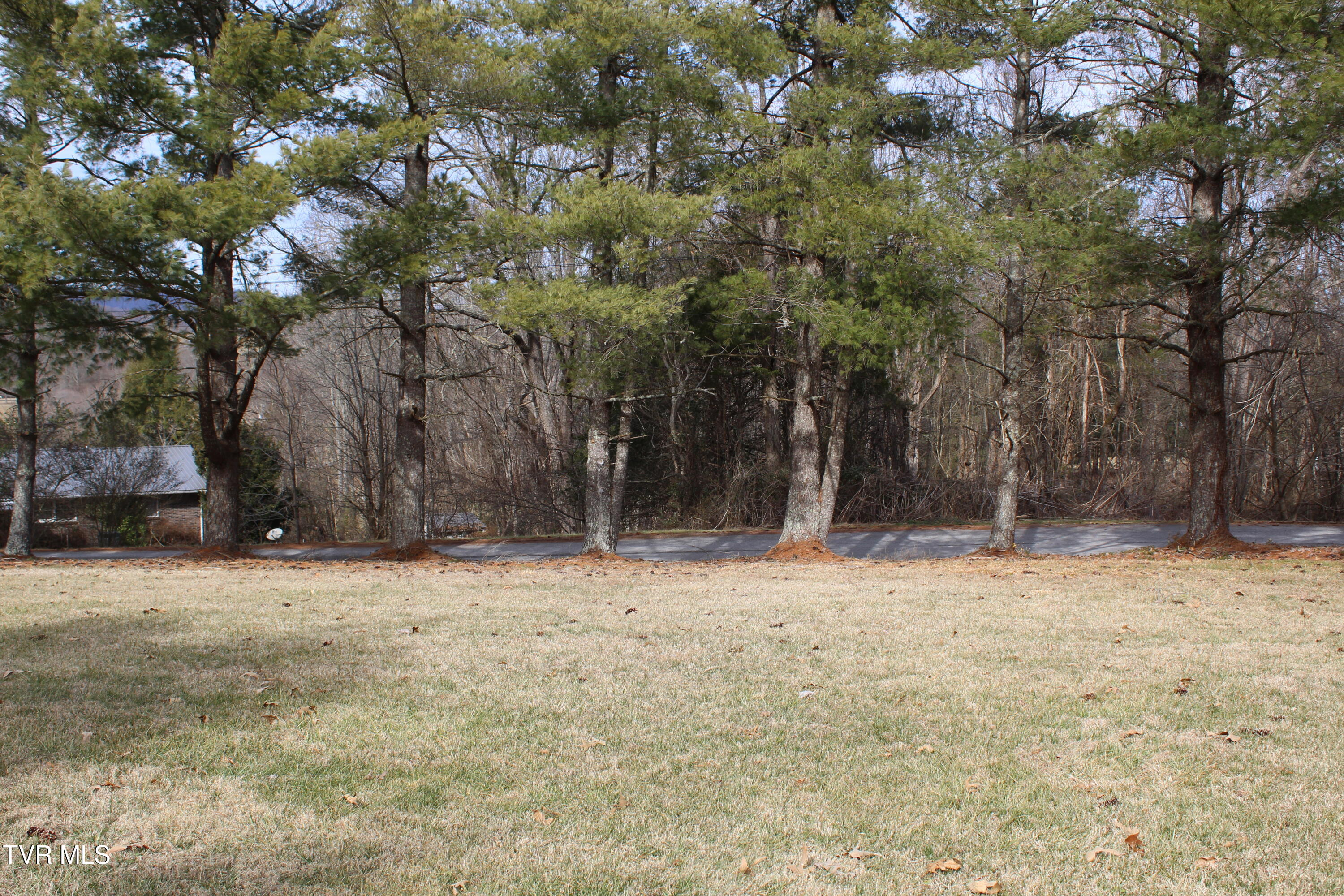 175 Fincastle Heights Road Jonesville, VA 24263 - Photo 47 of 51 IMG_6421