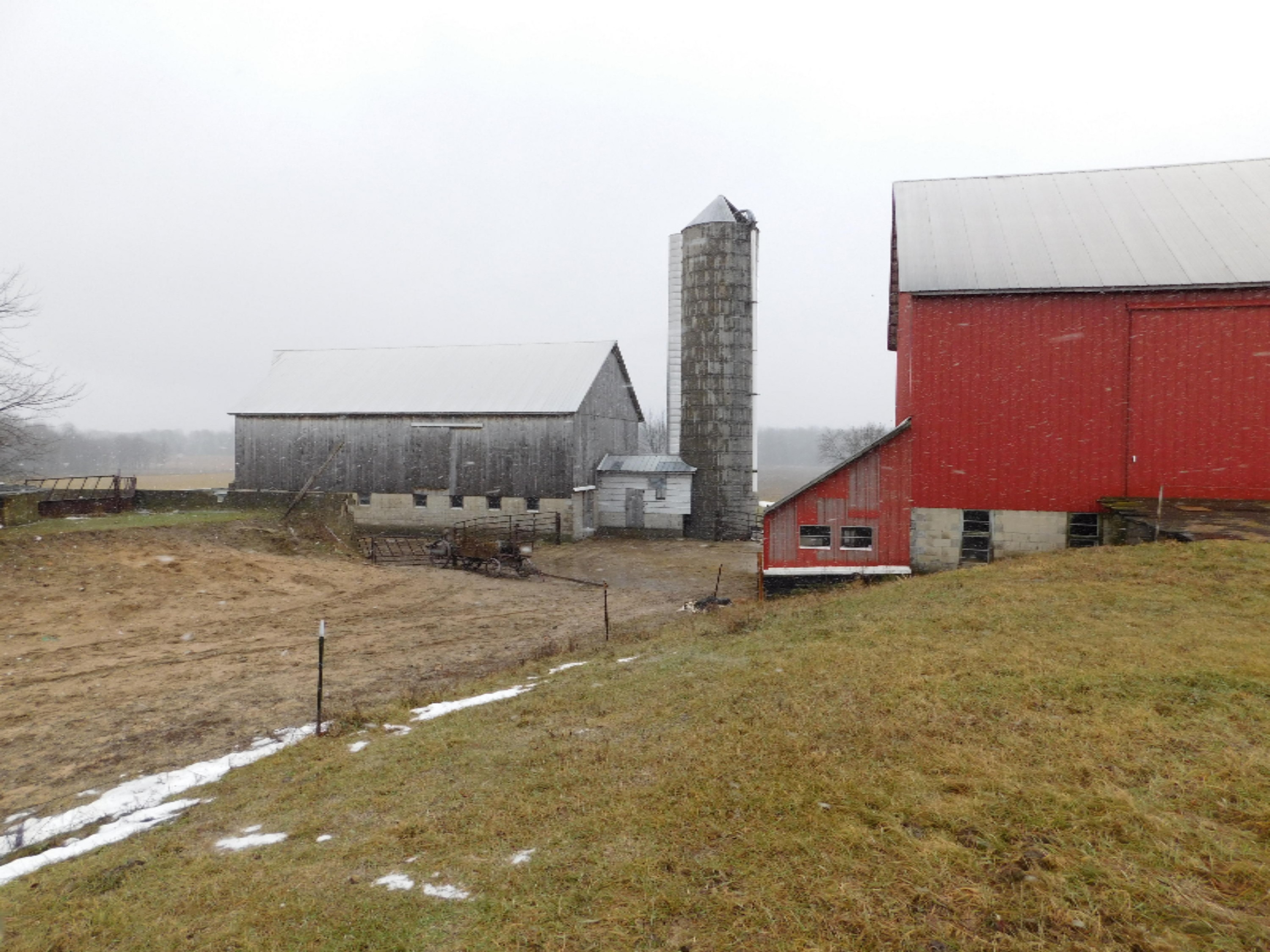 7984 2 Mile Road Lakeview, MI 48850 - Photo 19 of 39 DSCN3761