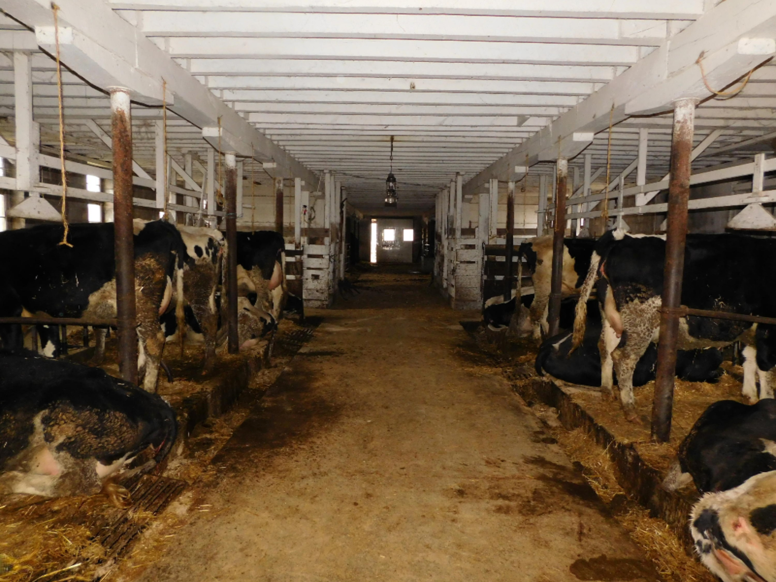 7984 2 Mile Road Lakeview, MI 48850 - Photo 20 of 39 DSCN3763