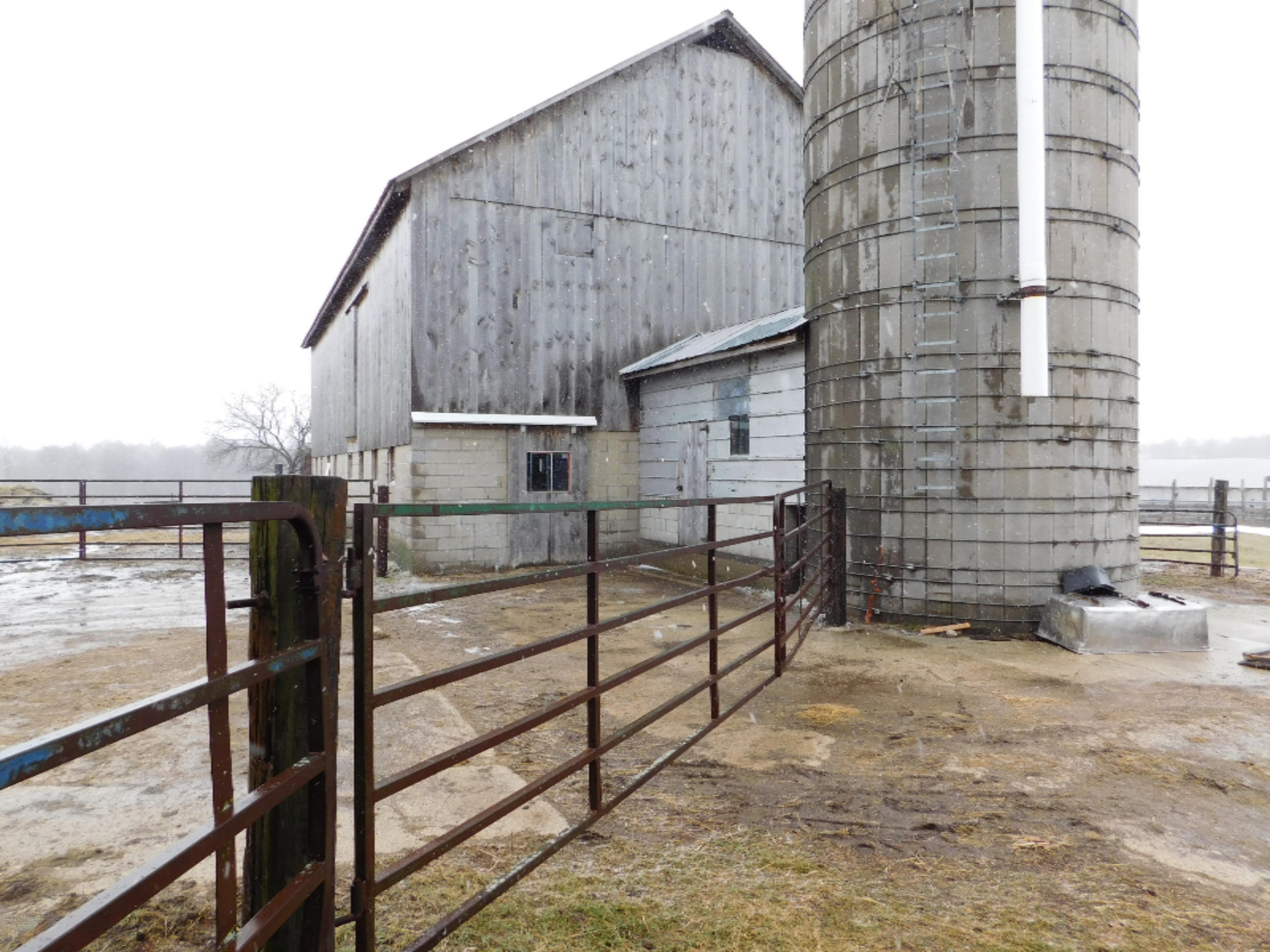 7984 2 Mile Road Lakeview, MI 48850 - Photo 27 of 39 DSCN3807
