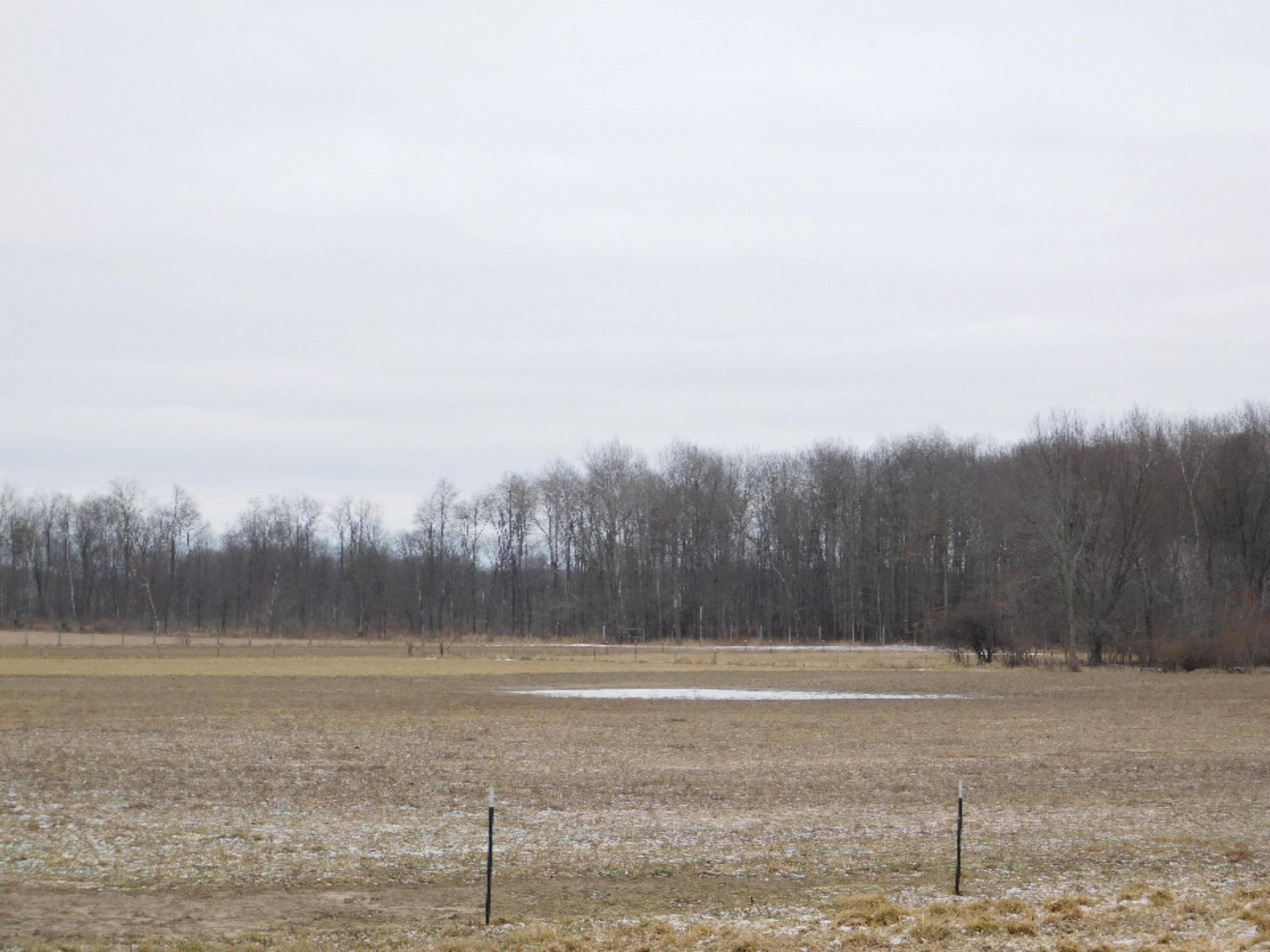 7984 2 Mile Road Lakeview, MI 48850 - Photo 29 of 39 DSCN3872