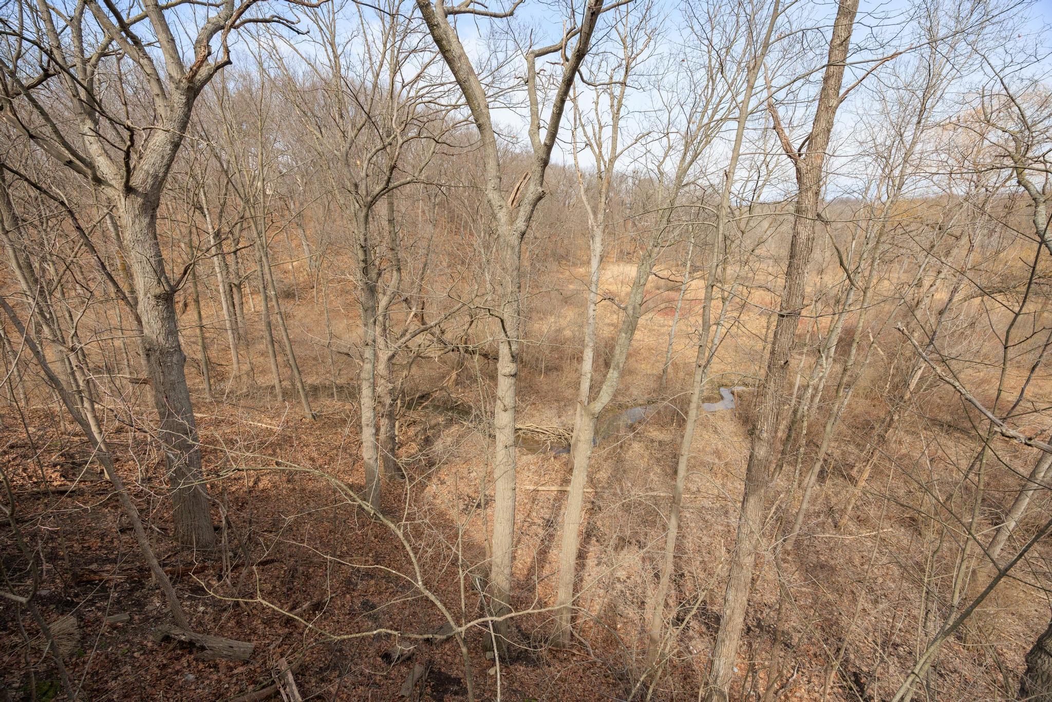 1260 Silver Bell Road Rochester, MI 48306 - Photo 55 of 63 1260 Silverbell Rd 58