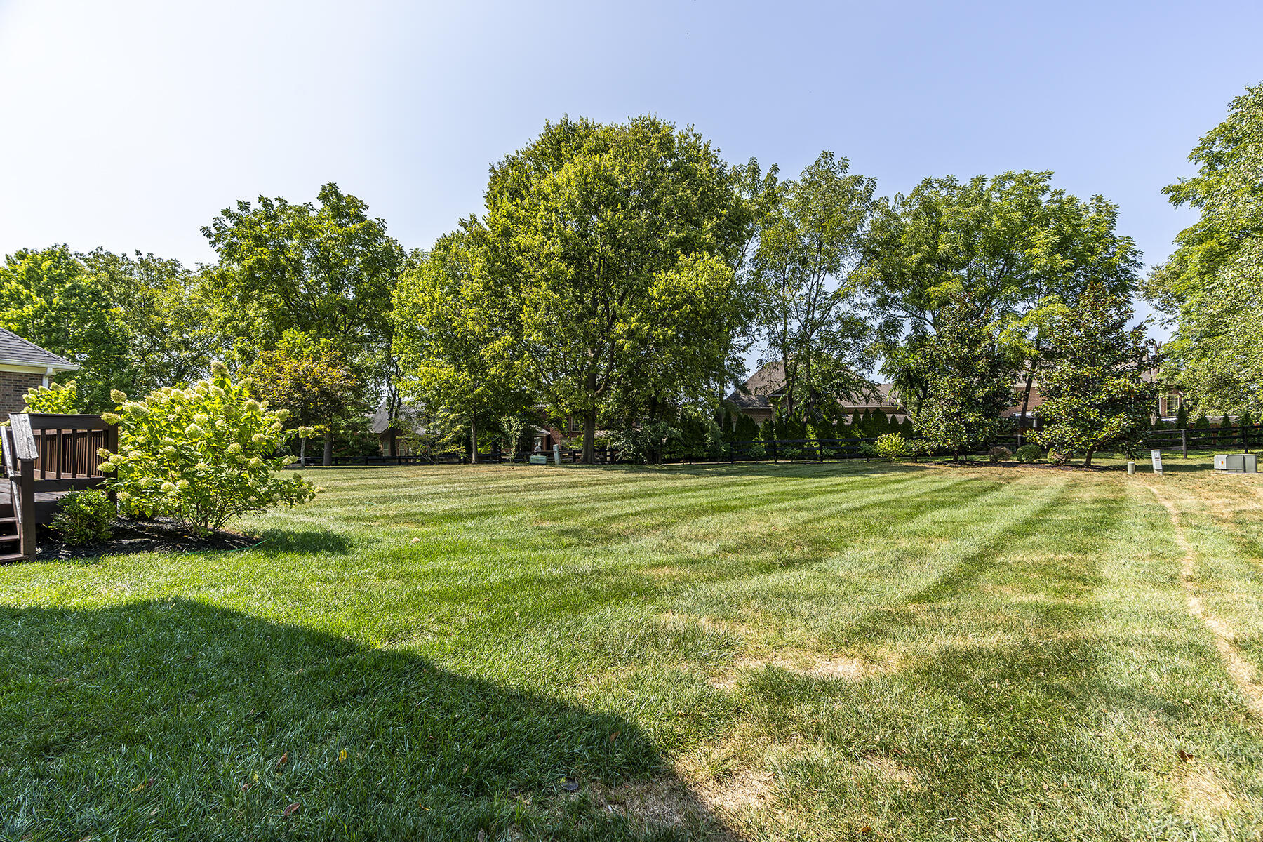 3005 Old Field Way Lexington, KY 40513 - Photo 3 of 43 3005old51
