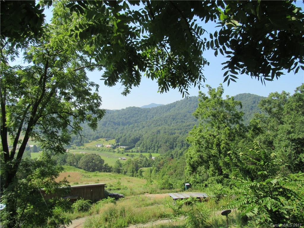 677 Green Valley Road Leicester, NC 28748 - Photo 19 of 21 Gallery Image 19