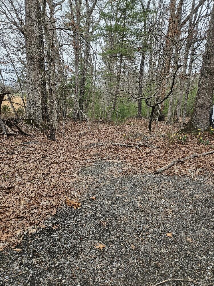 0 Timber Ridge Fincastle, VA 24090 - Photo 1 of 15 20240308_161038_resized