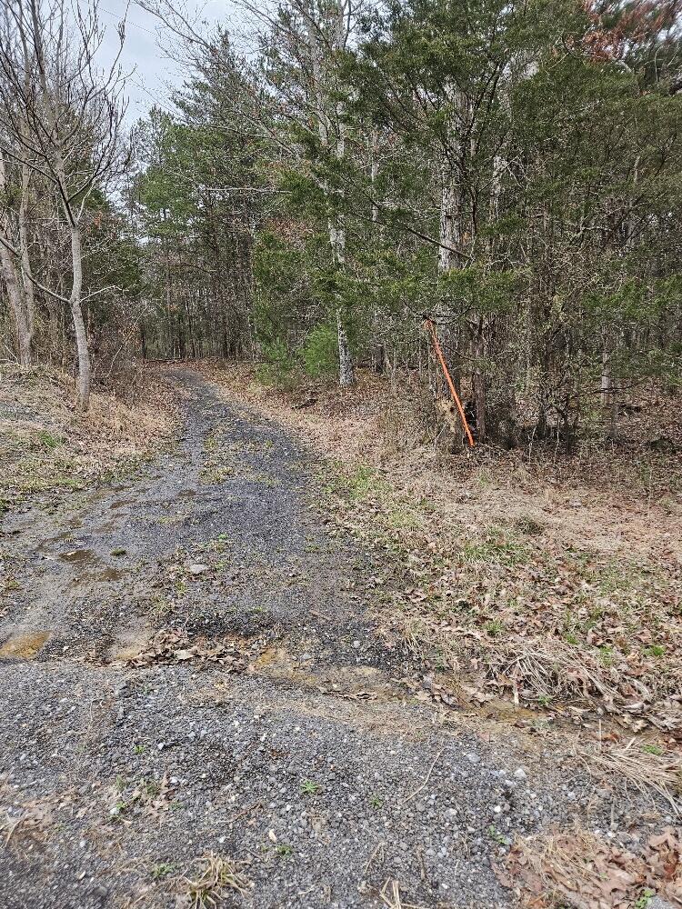 0 Timber Ridge Fincastle, VA 24090 - Photo 14 of 15 20240308_160541_resized