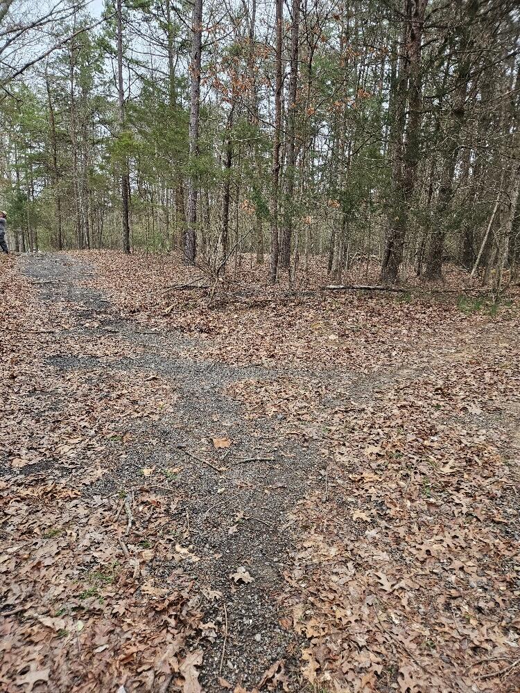 0 Timber Ridge Fincastle, VA 24090 - Photo 15 of 15 20240308_160729_resized