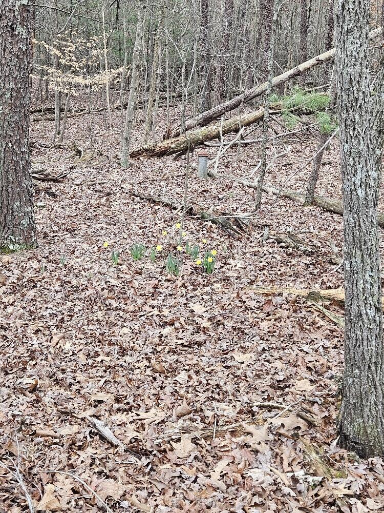 0 Timber Ridge Fincastle, VA 24090 - Photo 2 of 15 20240308_144611_resized