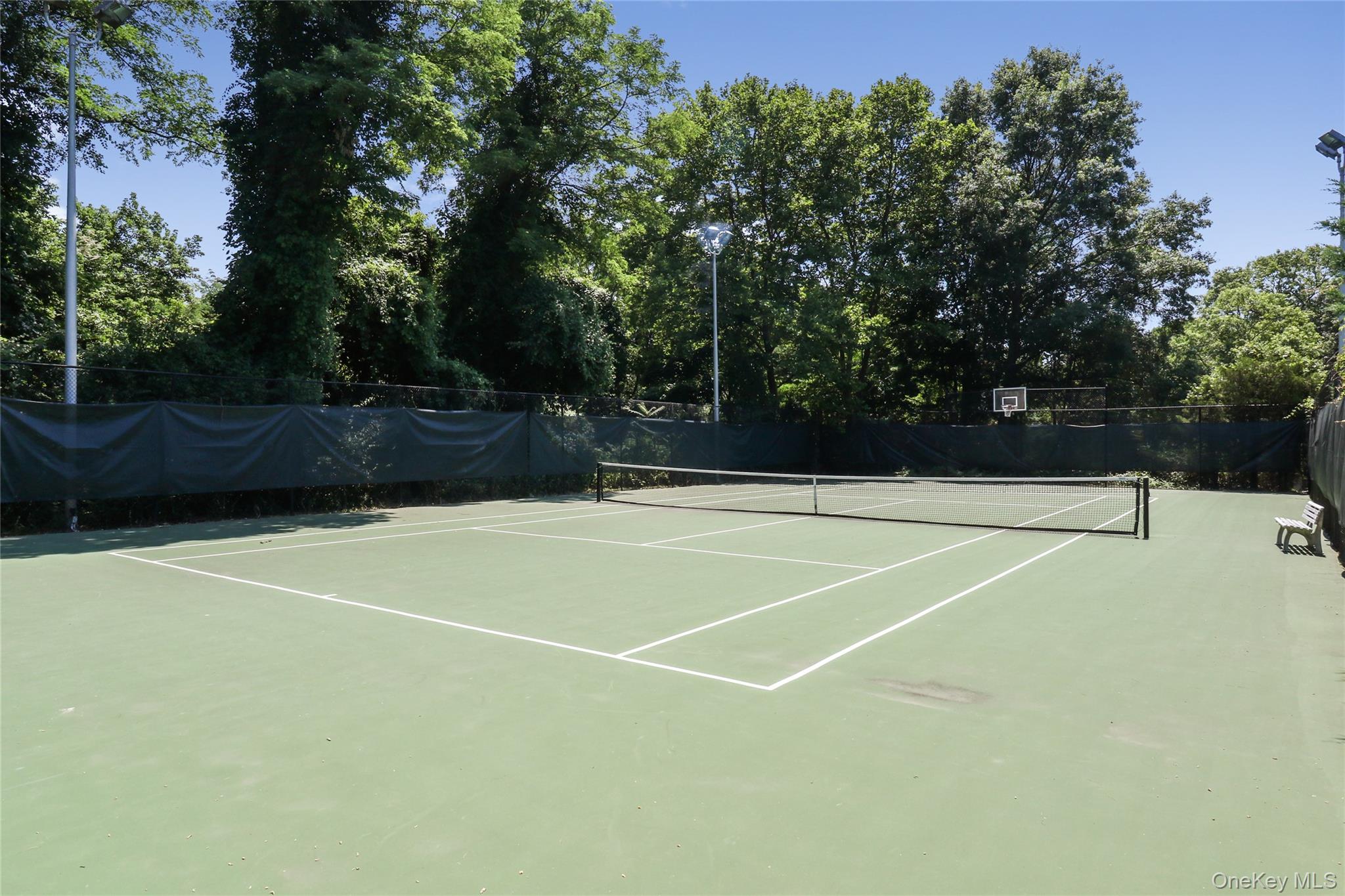 44 Hidden Ridge Drive Syosset, NY 11791 - Photo 23 of 28 a view of a tennis court