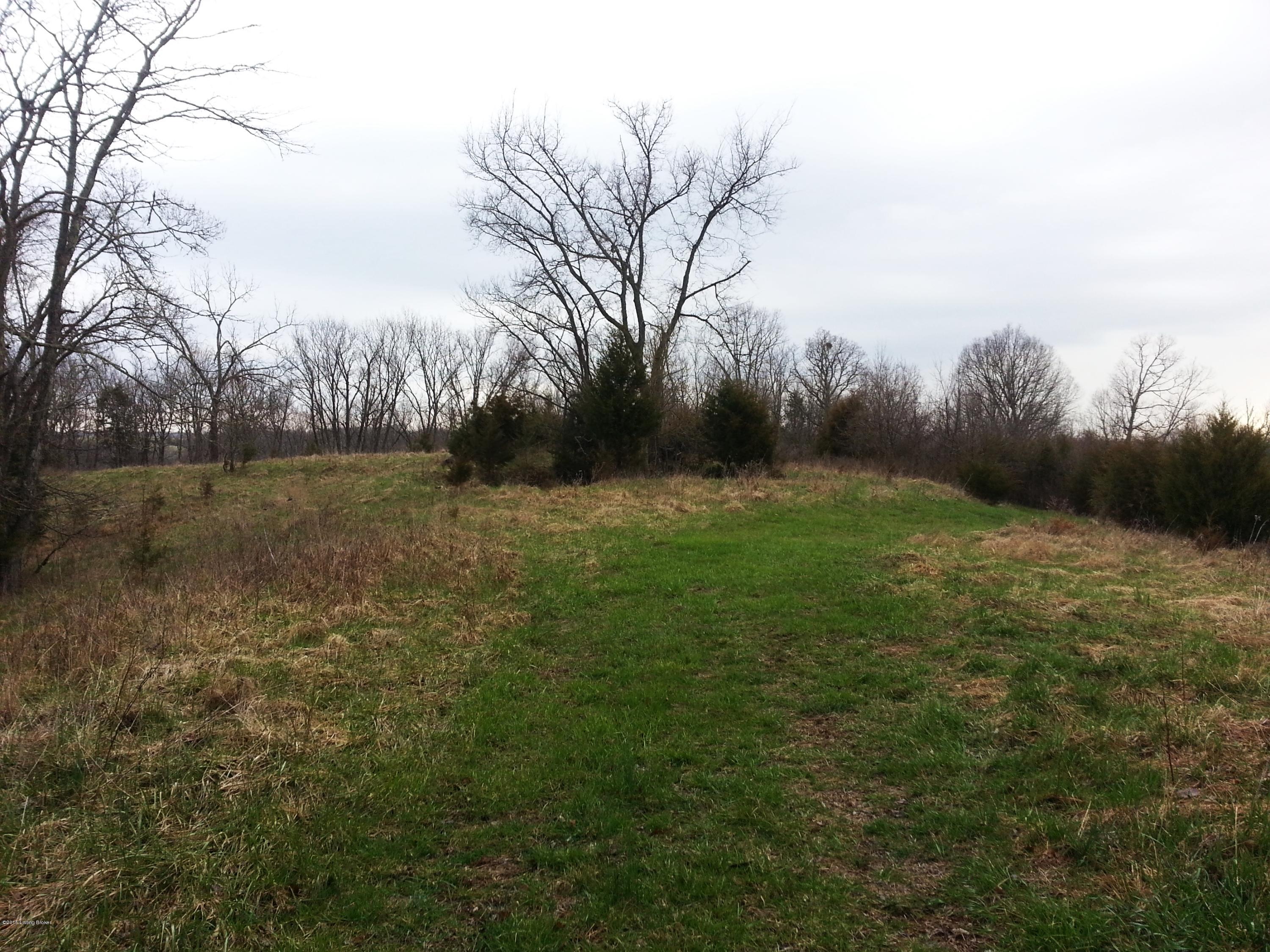 3318 Mt Eden Road Lawrenceburg, KY 40342 - Photo 1 of 10 4