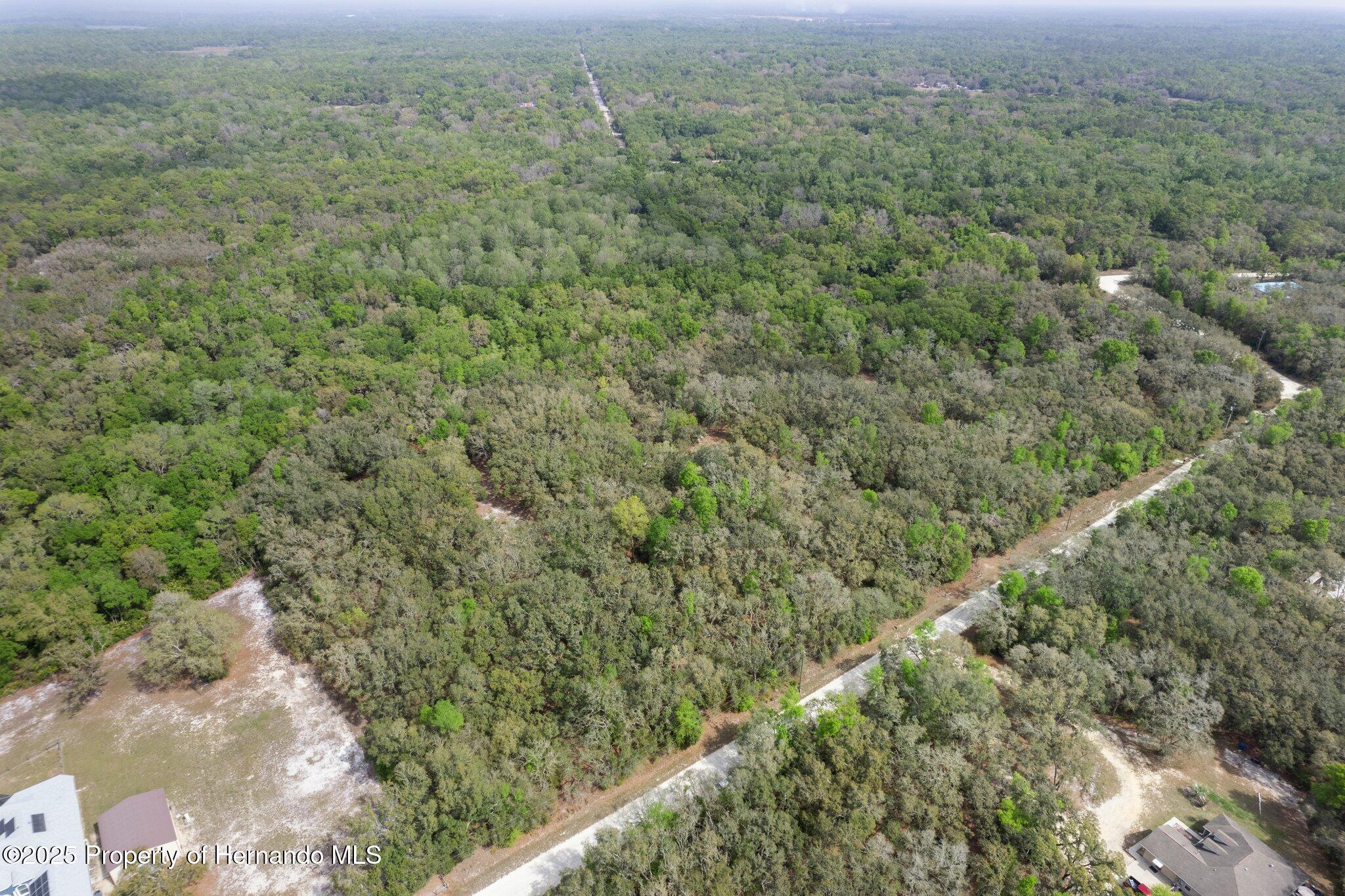 0 Rimrock Street Webster, FL 33597 - Photo 22 of 25