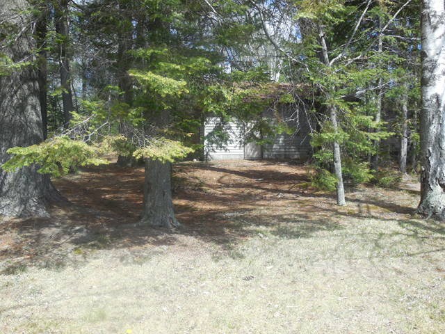 5091 Kokosing Road Hale, MI 48739 - Photo 22 of 62 1873924-21.JPG