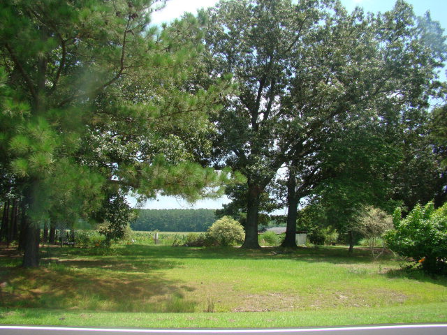 Primary Photo