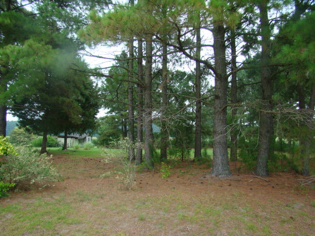 1375 Chandler Road Vanceboro, NC 28586 - Photo 11 of 14 Additional Photo