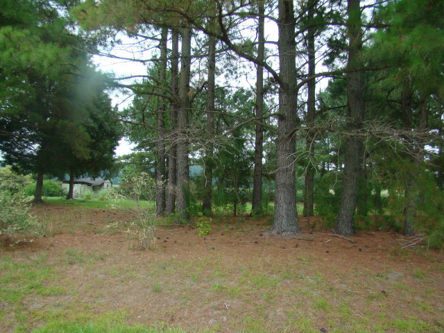 1375 Chandler Road Vanceboro, NC 28586 - Photo 12 of 14 Additional Photo