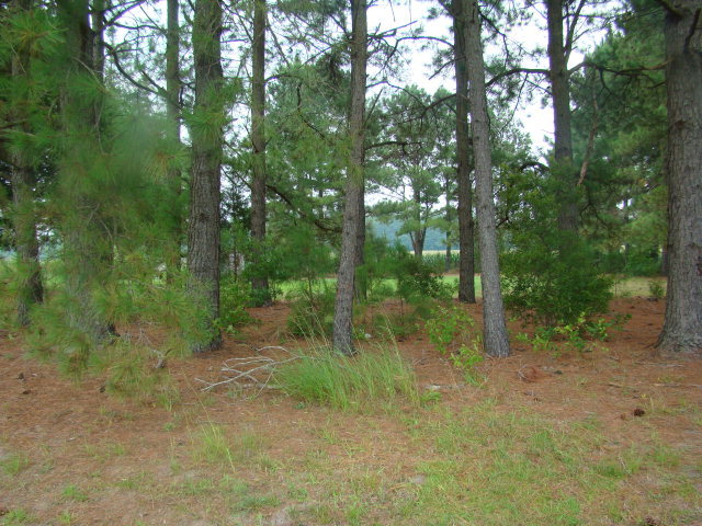 1375 Chandler Road Vanceboro, NC 28586 - Photo 13 of 14 Additional Photo