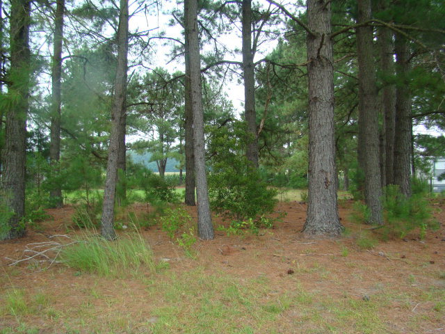 1375 Chandler Road Vanceboro, NC 28586 - Photo 14 of 14 Additional Photo