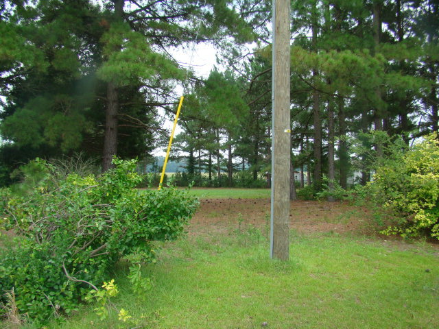1375 Chandler Road Vanceboro, NC 28586 - Photo 9 of 14 Additional Photo