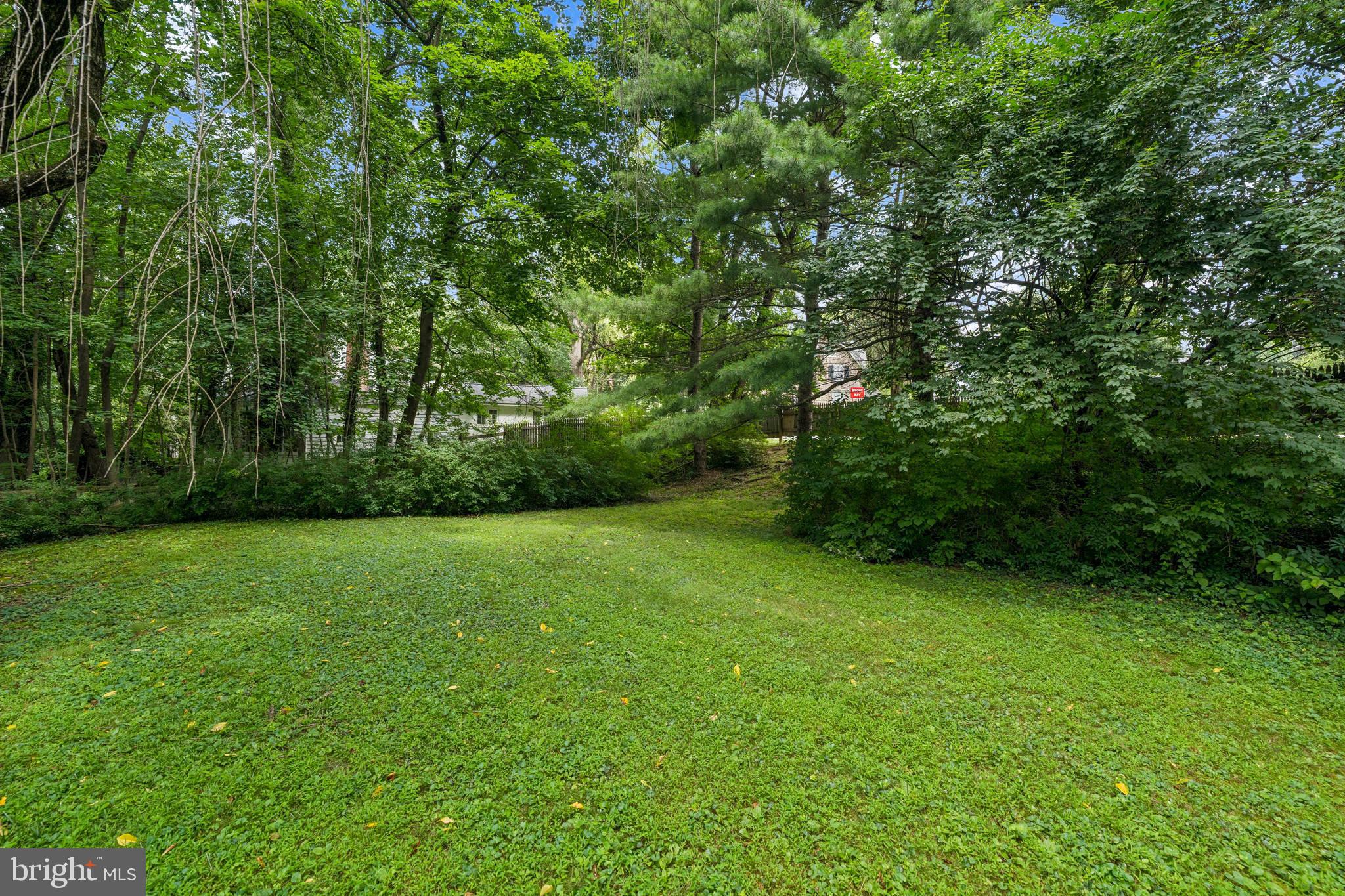 443 Homestead Road Wayne, PA 19087 - Photo 17 of 55 a view of a green yard