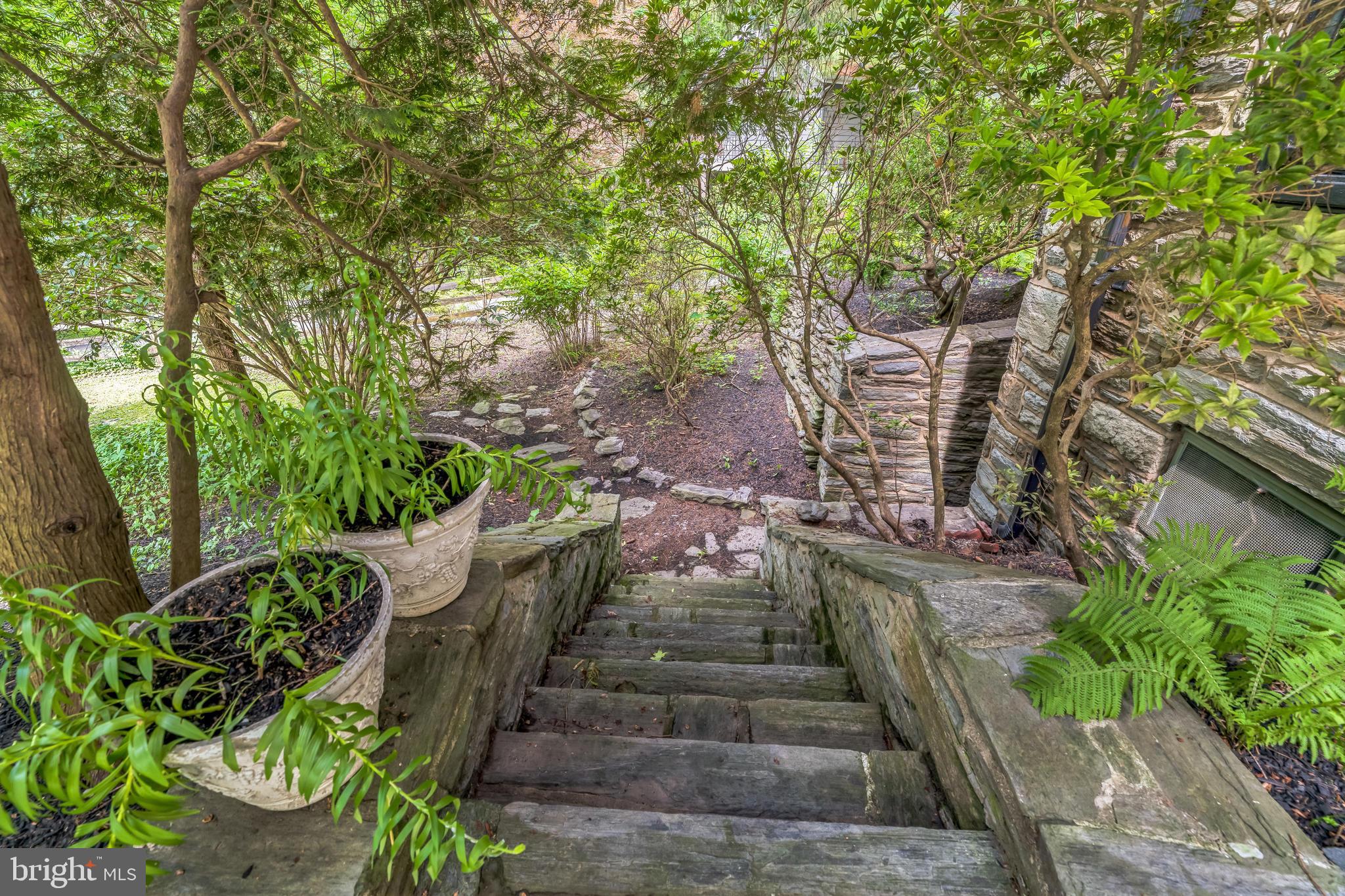 443 Homestead Road Wayne, PA 19087 - Photo 19 of 55 a view of a yard with plants and large trees