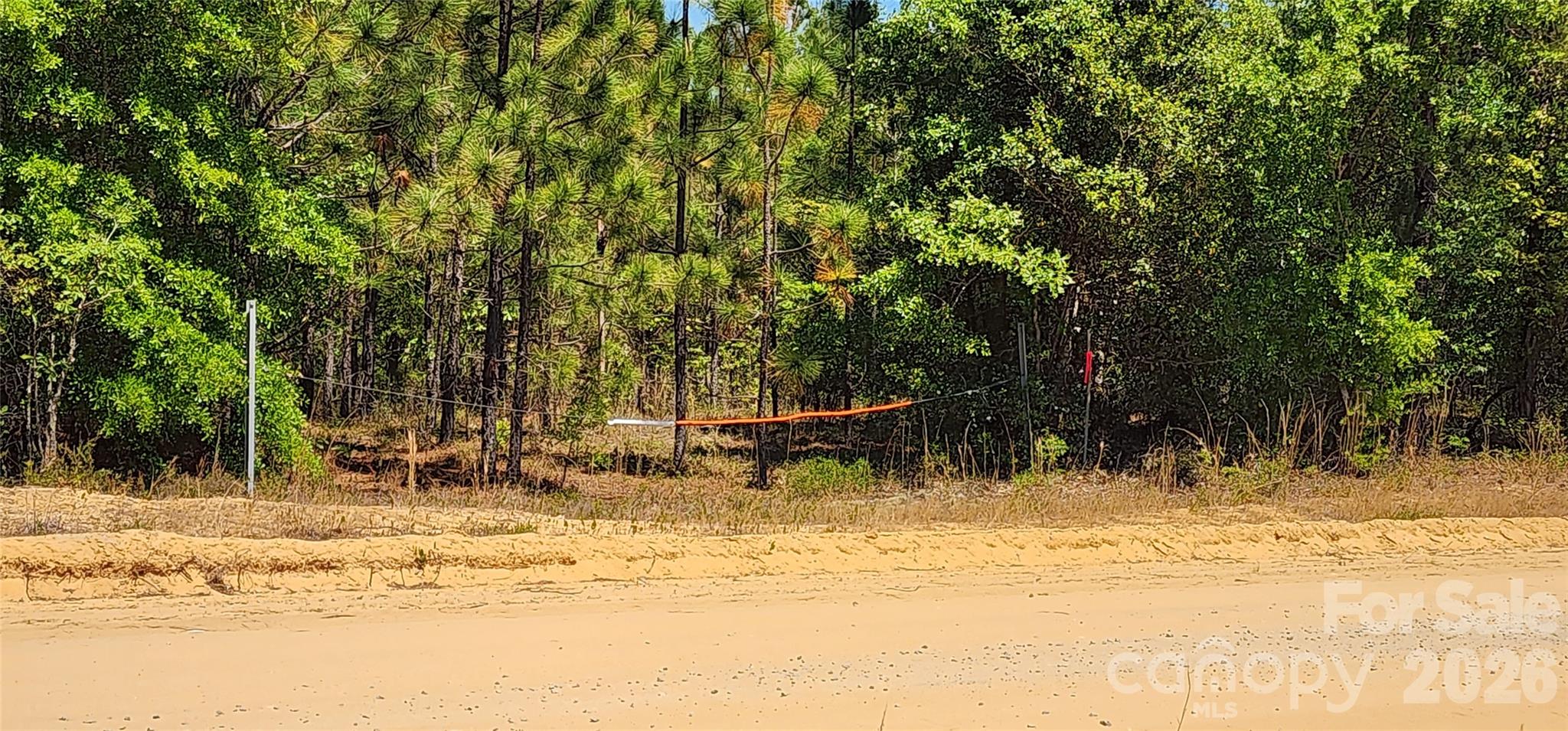 1050 McQueen Road Patrick, SC 29584 - Photo 20 of 48 a view of swimming pool with a bench and trees