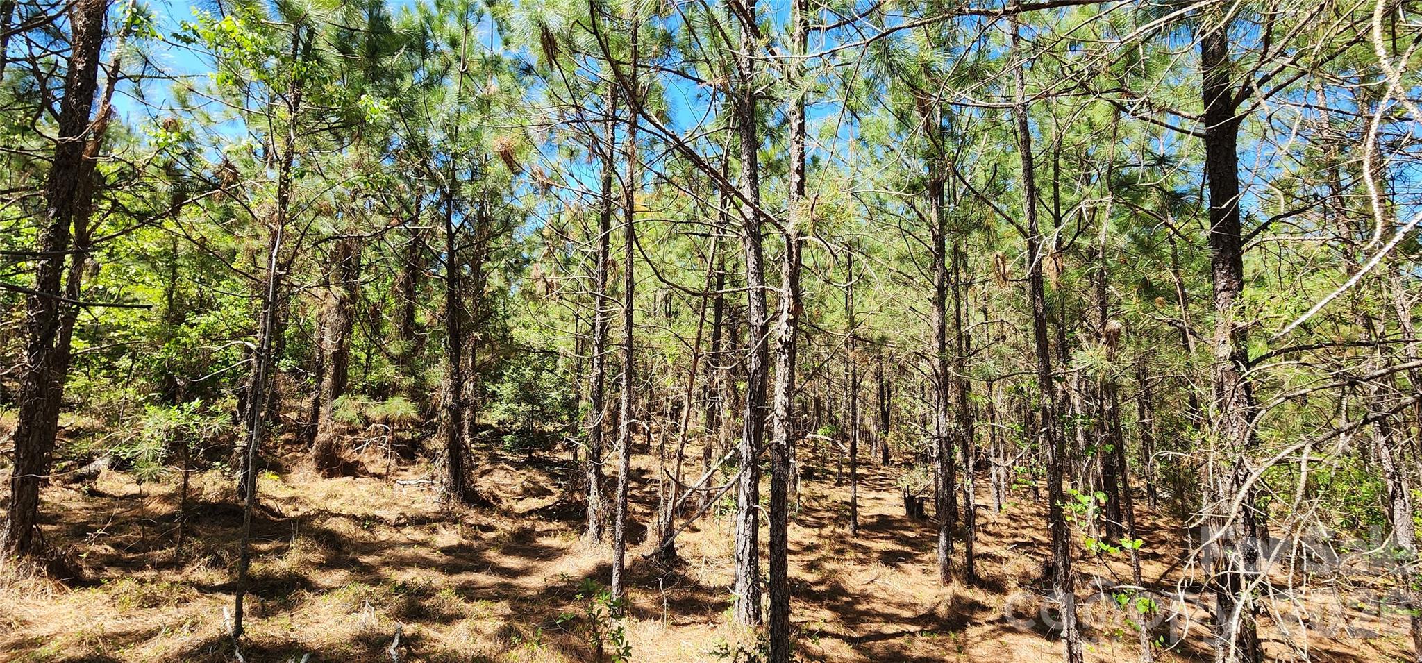 1050 McQueen Road Patrick, SC 29584 - Photo 21 of 48