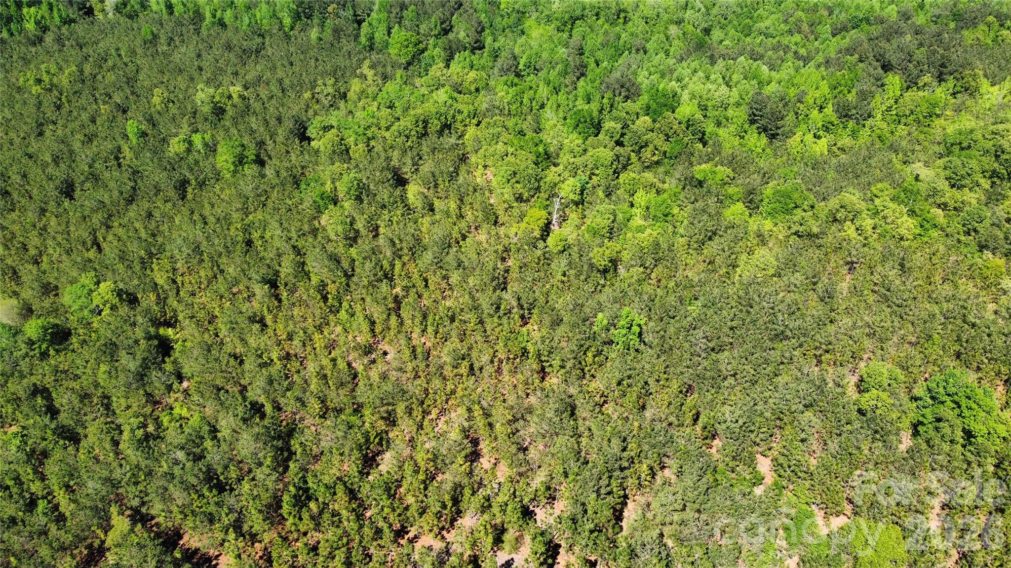 1050 McQueen Road Patrick, SC 29584 - Photo 30 of 48 a view of a lush green field
