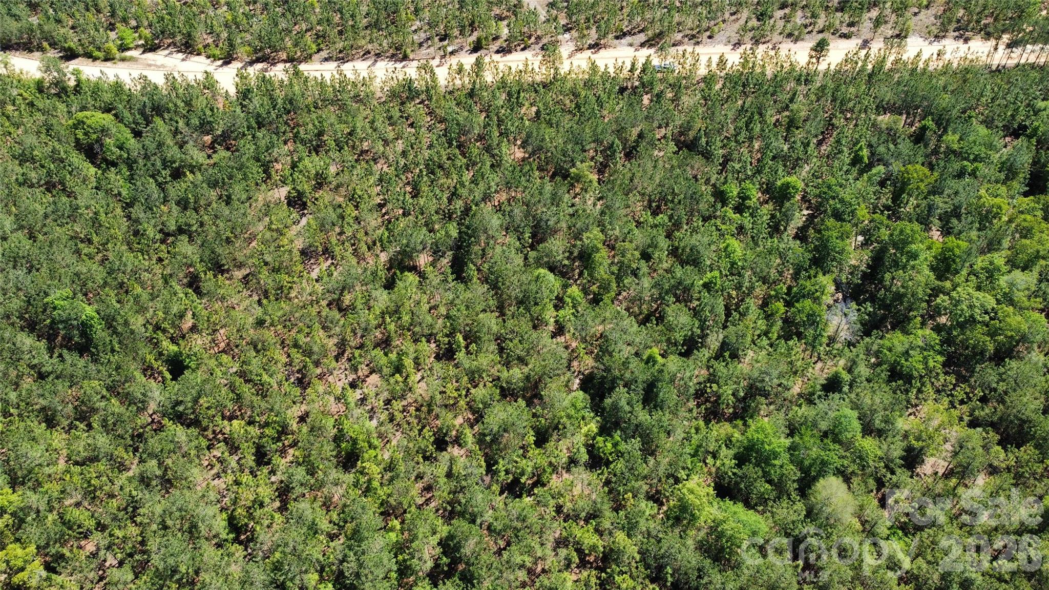 1050 McQueen Road Patrick, SC 29584 - Photo 32 of 48 a view of a lush green forest with houses