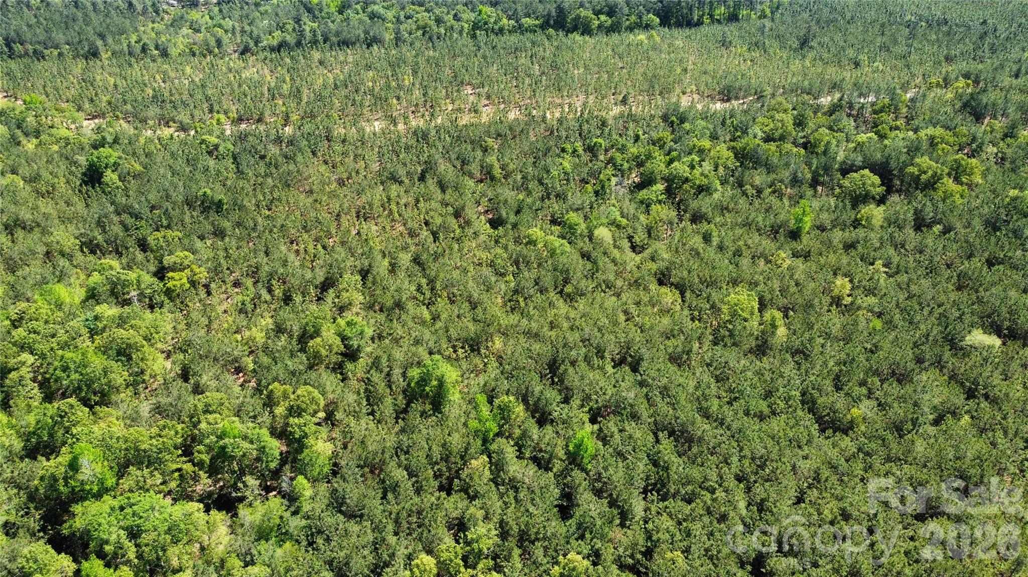 1050 McQueen Road Patrick, SC 29584 - Photo 33 of 48 a view of a lush green field