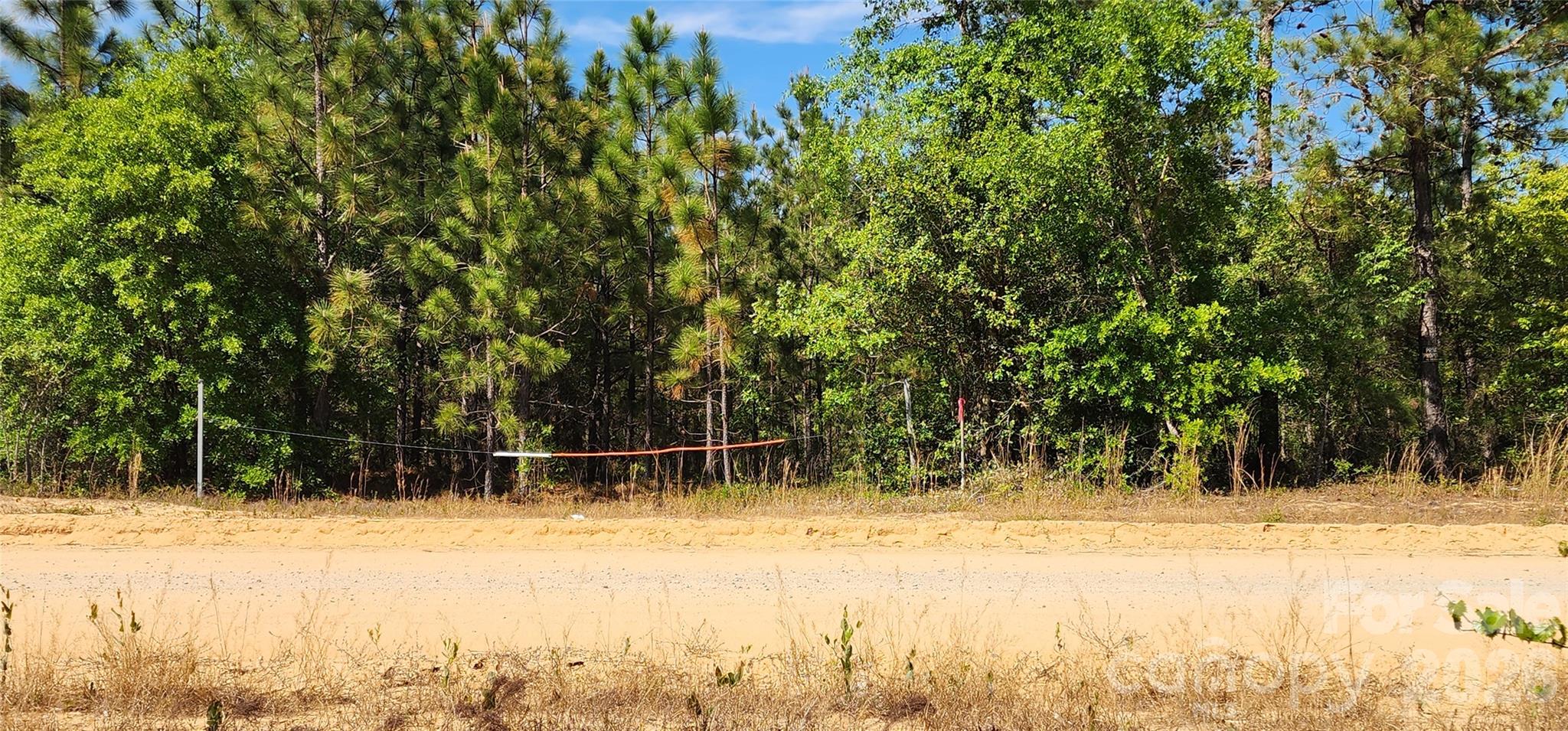 1050 McQueen Road Patrick, SC 29584 - Photo 34 of 48 a view of a backyard