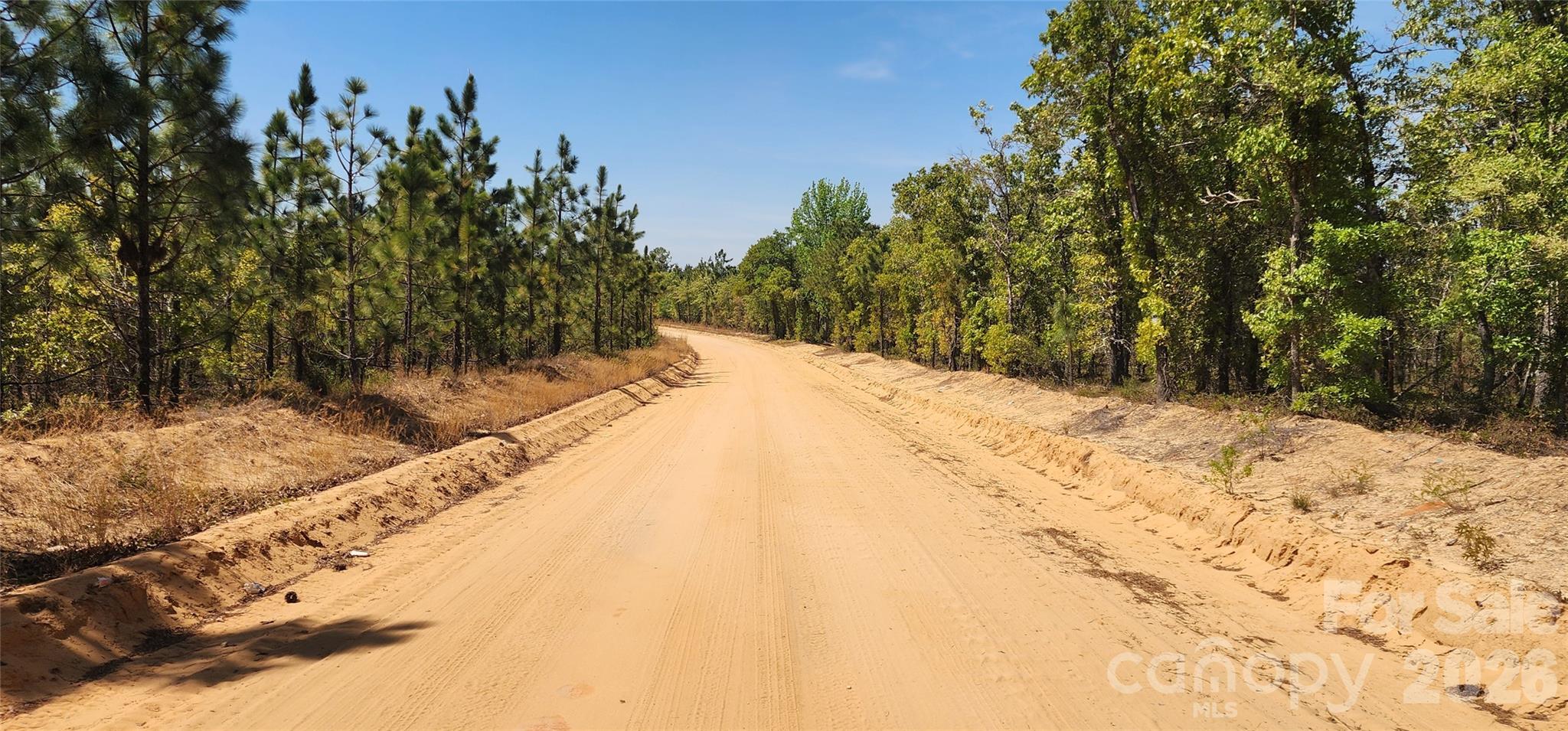 1050 McQueen Road Patrick, SC 29584 - Photo 35 of 48 a view of a yard with trees