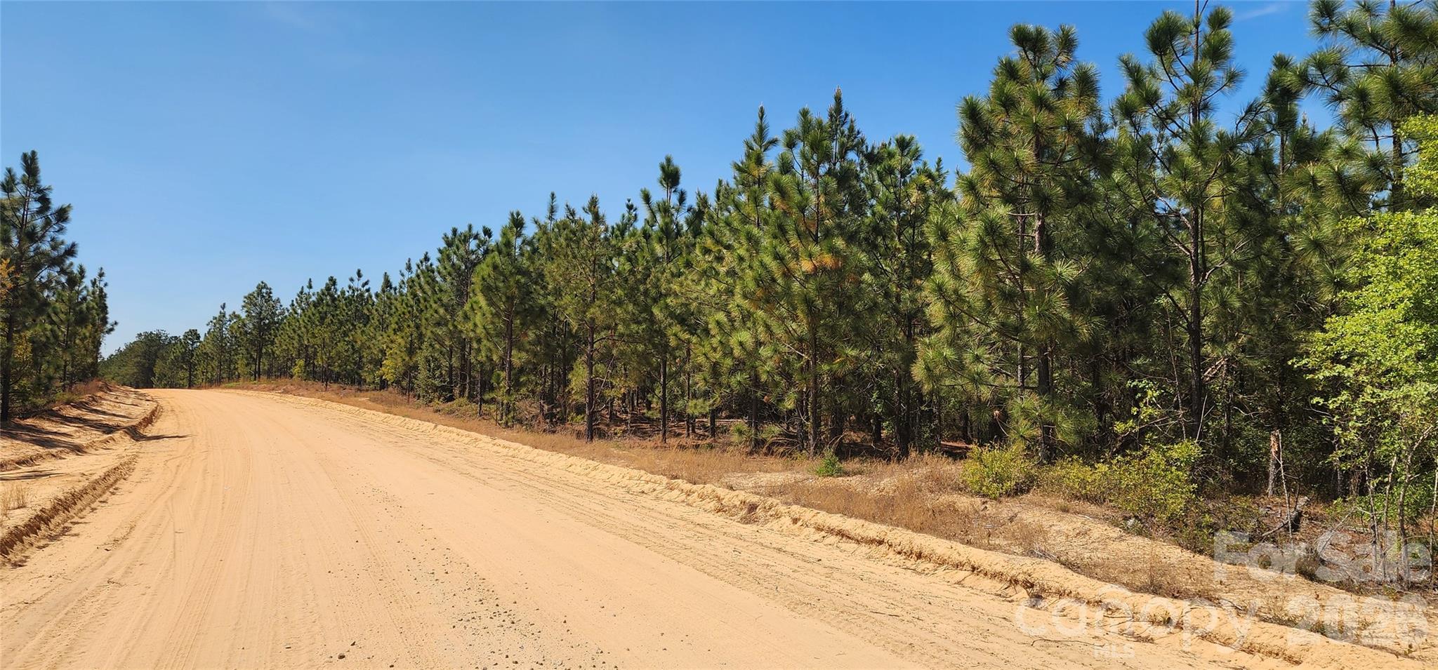 1050 McQueen Road Patrick, SC 29584 - Photo 36 of 48 a view of a yard with trees in the background