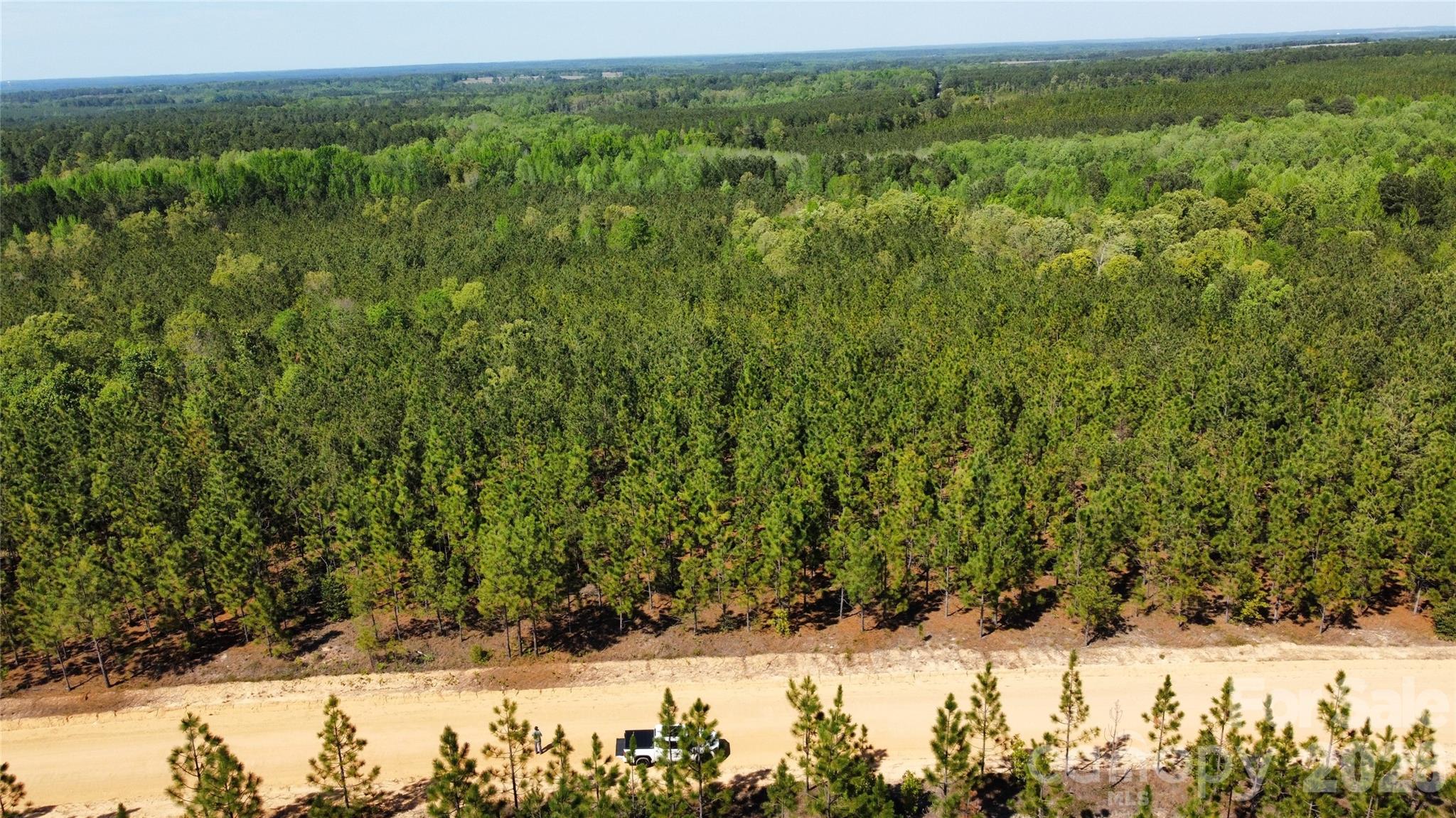1050 McQueen Road Patrick, SC 29584 - Photo 39 of 48 a view of a yard