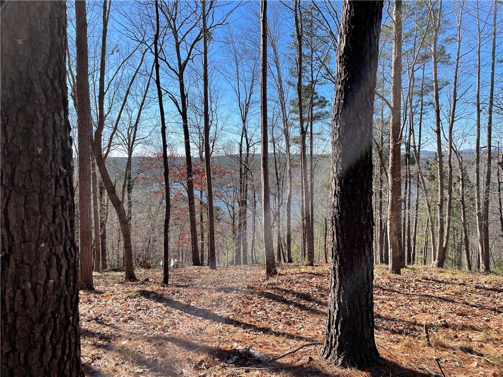 711 Top Ridge Drive Sunset, SC 29685 - Photo 9 of 15