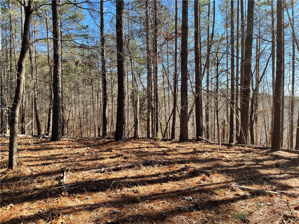 711 Top Ridge Drive Sunset, SC 29685 - Photo 10 of 15