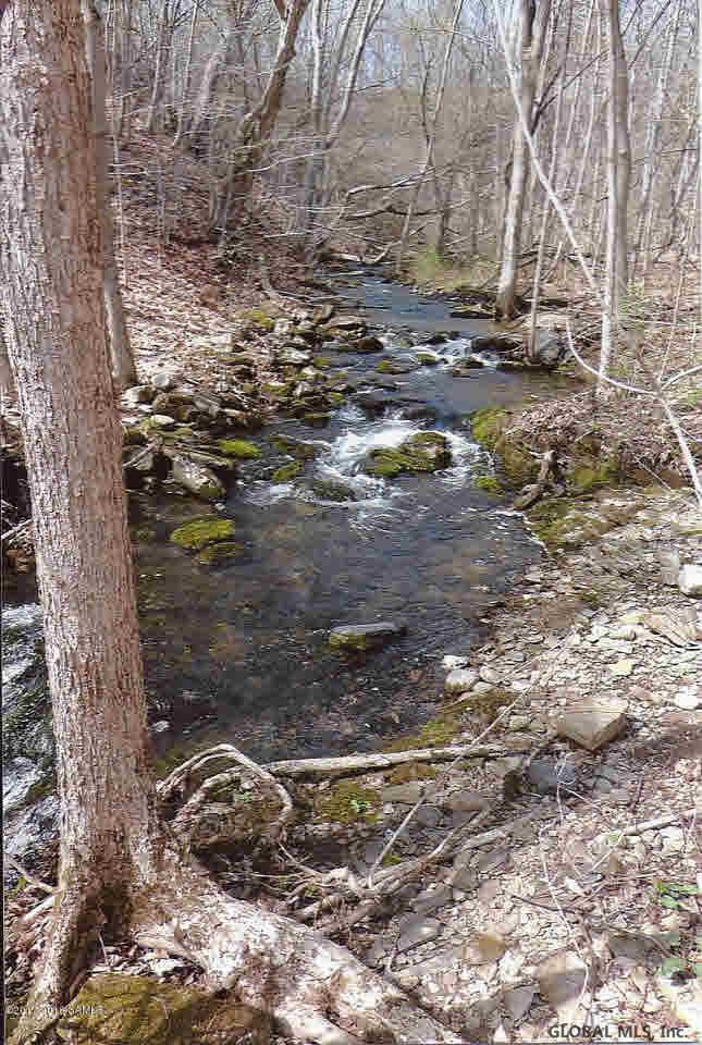 1842 Burch Road Hartford, NY 12832 - Photo 15 of 17 Photo 15